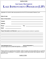 Sample LIP Form